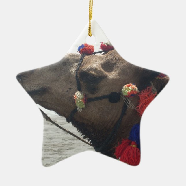 Oman Muscat Camel Photo Art Print Ceramic Tree Decoration (Front)