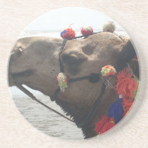 Oman Muscat Camel Photo Art Print Coaster