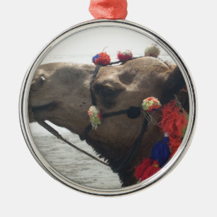 Oman Muscat Camel Photo Art Print Metal Ornament