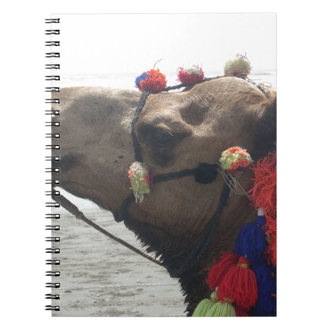 Oman Muscat Camel Photo Art Print Notebook (Front)
