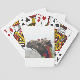 Oman Muscat Camel Photo Art Print Playing Cards