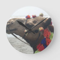 Oman Muscat Camel Photo Art Print