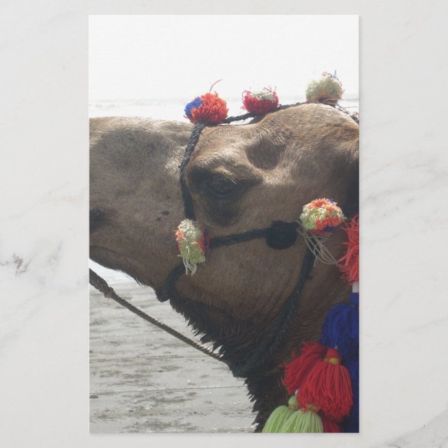 Oman Muscat Camel Photo Art Print Stationery (Front)