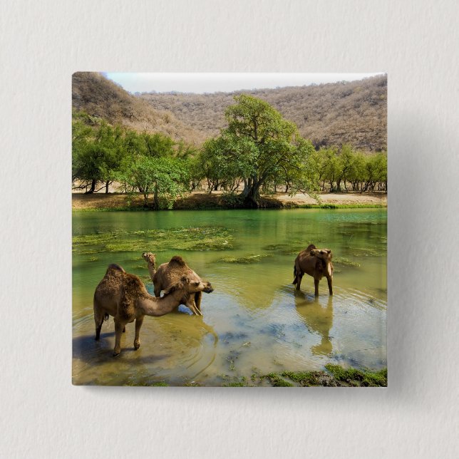 Oman, Wadi darbat 15 Cm Square Badge (Front)