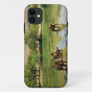 Oman, Wadi darbat iPhone 11 Case