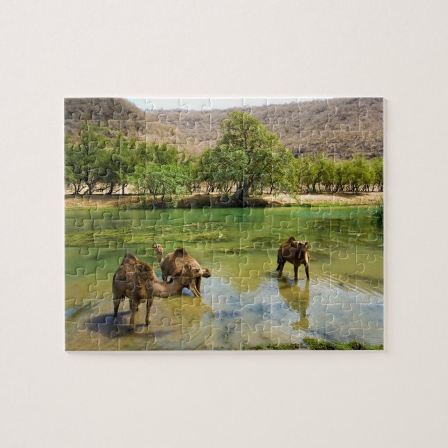 Oman, Wadi darbat Jigsaw Puzzle (Horizontal)