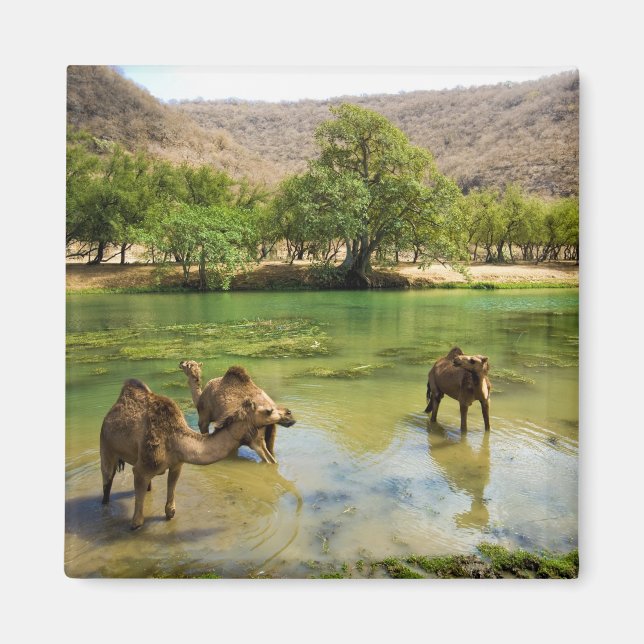 Oman, Wadi darbat Magnet (Front)