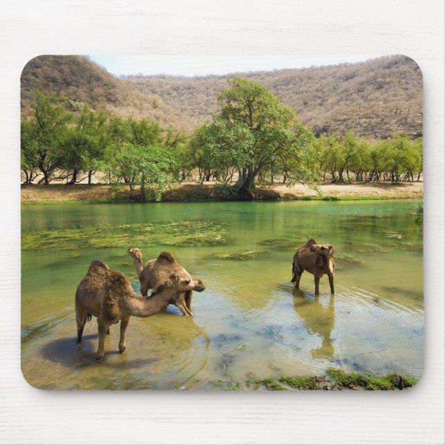 Oman, Wadi darbat Mouse Pad (Front)