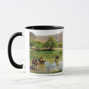 Oman, Wadi darbat Mug