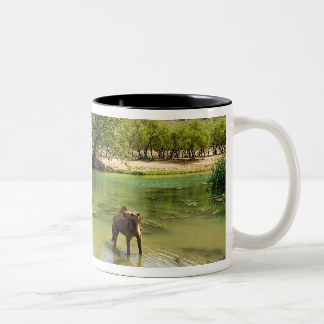 Oman, Wadi darbat Two-Tone Coffee Mug (Right)