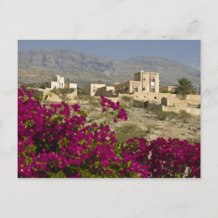 Oman, Western Hajar Mountains, Al Hamra. Town Postcard