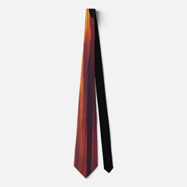 Ombré Necktie (Front)