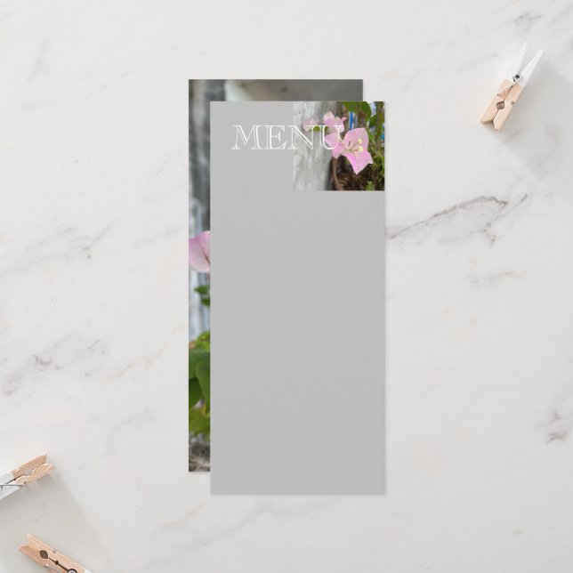 ombre pink bougainvillea or paper flower, tropical (Front/Back In Situ)