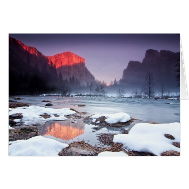 Omega Red (Front Horizontal)