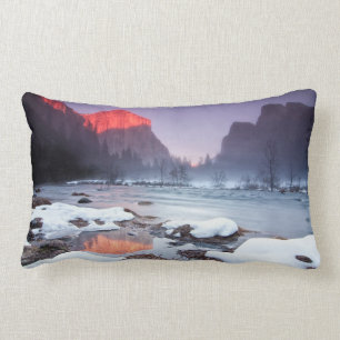 Omega Red Lumbar Cushion