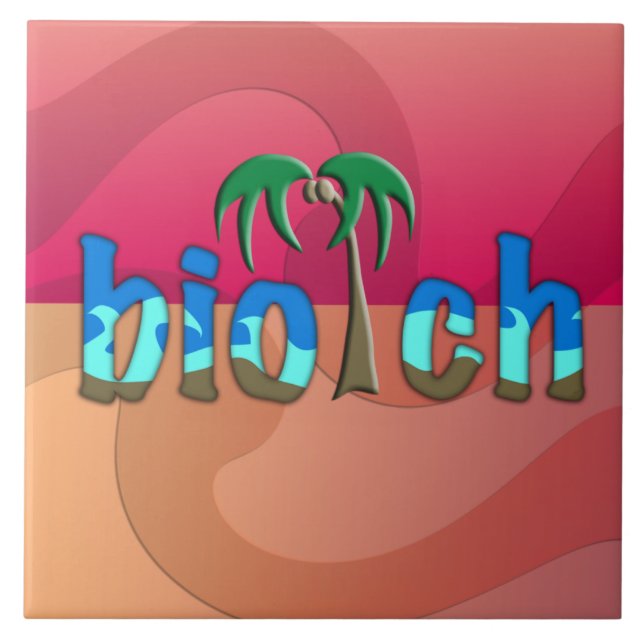 OMG! biotch Tile (Front)