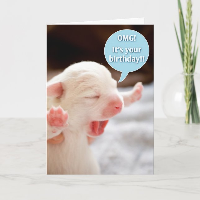 OMG Birthday! Card (Front)