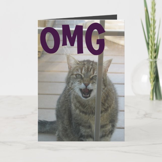 omg cat happy card (Front)