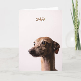 OMG dog card