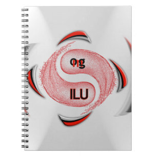 OMG! ilu Notebook