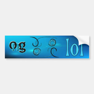OMG! lol Bumper Sticker