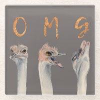 OMG Ostriches