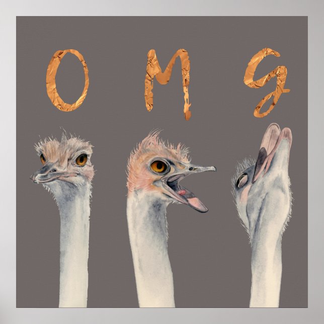 OMG Ostriches Poster (Front)