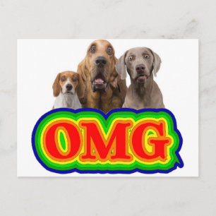 OMG Rainbow with surprised dogs! Postcard