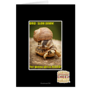 OMG! Slow down!
