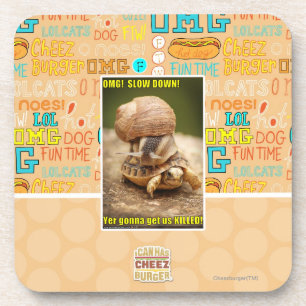 OMG! Slow down! Coaster