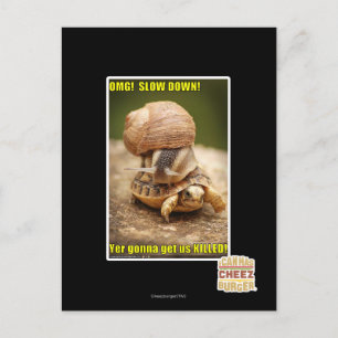 OMG! Slow down! Postcard