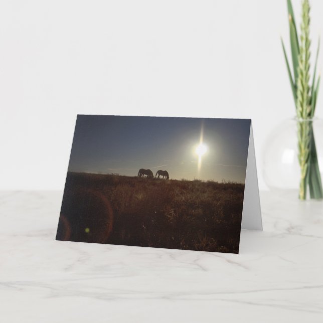 OMRH Christmas 2008 Holiday Card (Front)