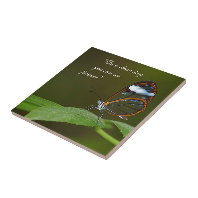 "On a Clear Day" Glasswing Butterfly Design Ceramic Tile (Side)