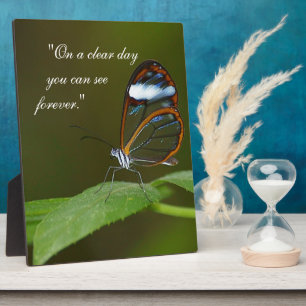 "On a Clear Day" Glasswing Butterfly Design Plaque
