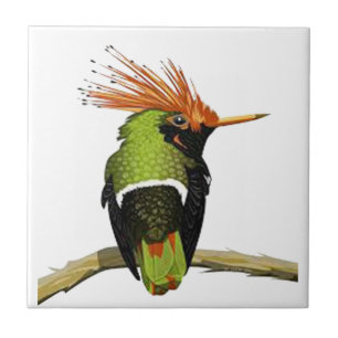 ON A LIMB CERAMIC TILE