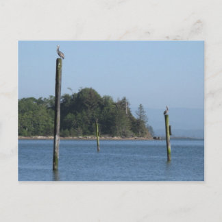 On Guard Postcard