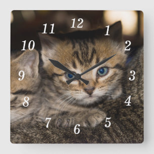 On Momma's Back Wall Clock