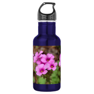 On My Doorstep 532 Ml Water Bottle