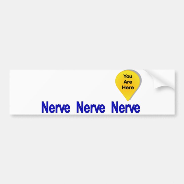 On My Last Nerve Bumper Sticker (Front)