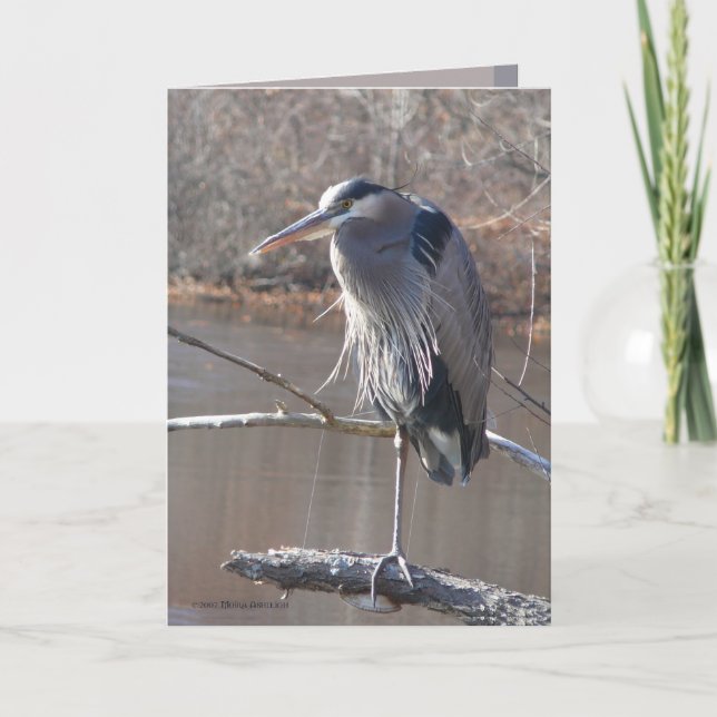 On One Leg Card (Front)