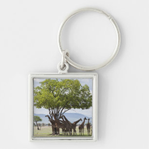On safari in Mikumi National Park in Tanzania, Key Ring