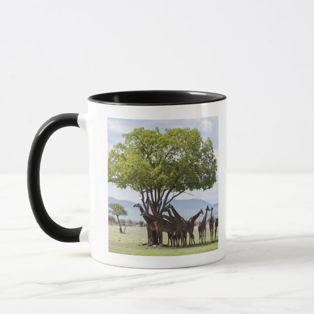 On safari in Mikumi National Park in Tanzania, Mug (Left)