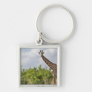 On safari in Tanzania, Africa. 2 Key Ring