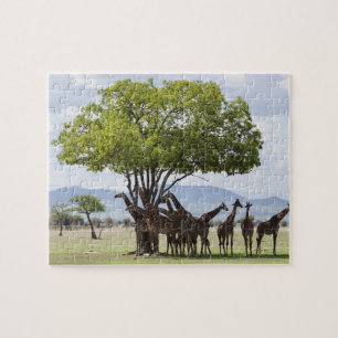 On Safari   Mikumi National Park, Tanzania Jigsaw Puzzle