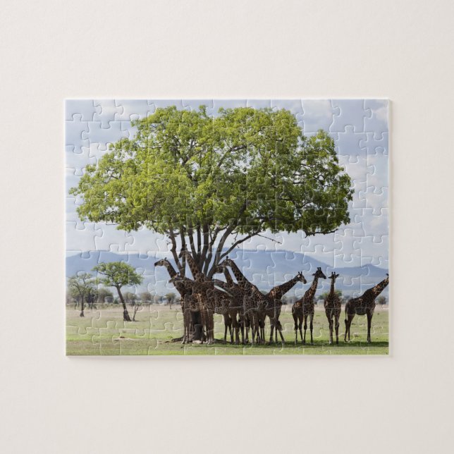 On Safari | Mikumi National Park, Tanzania Jigsaw Puzzle (Horizontal)