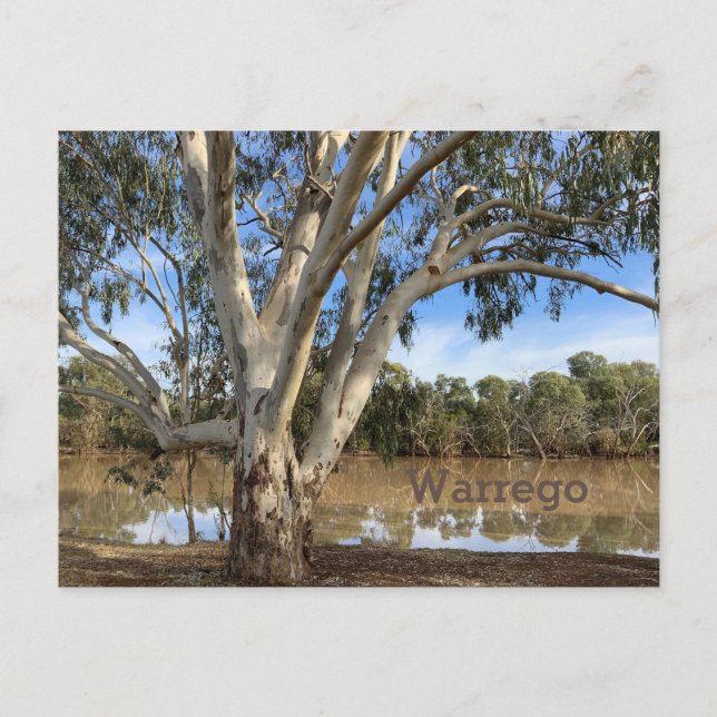 On the Banks of the Warrego Holiday Postcard (Front)