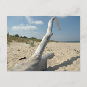 On the beach - Postcard