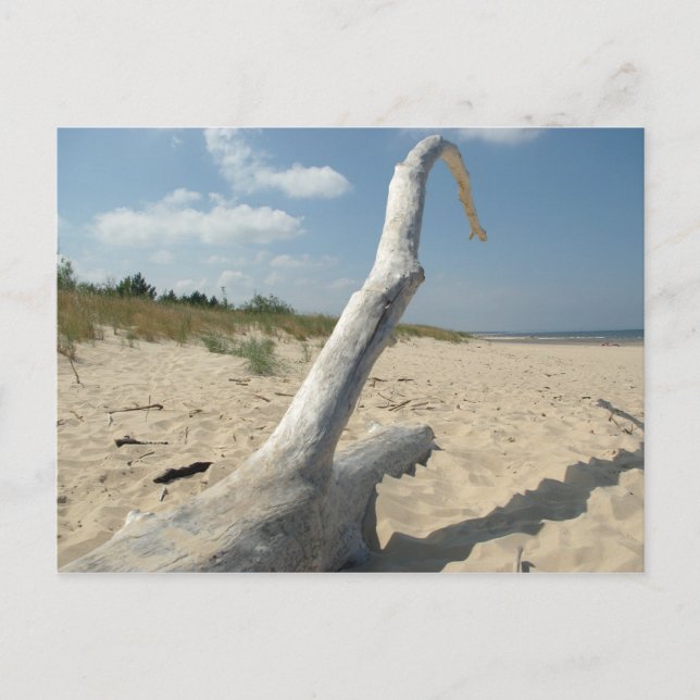 On the beach - Postcard (Front)