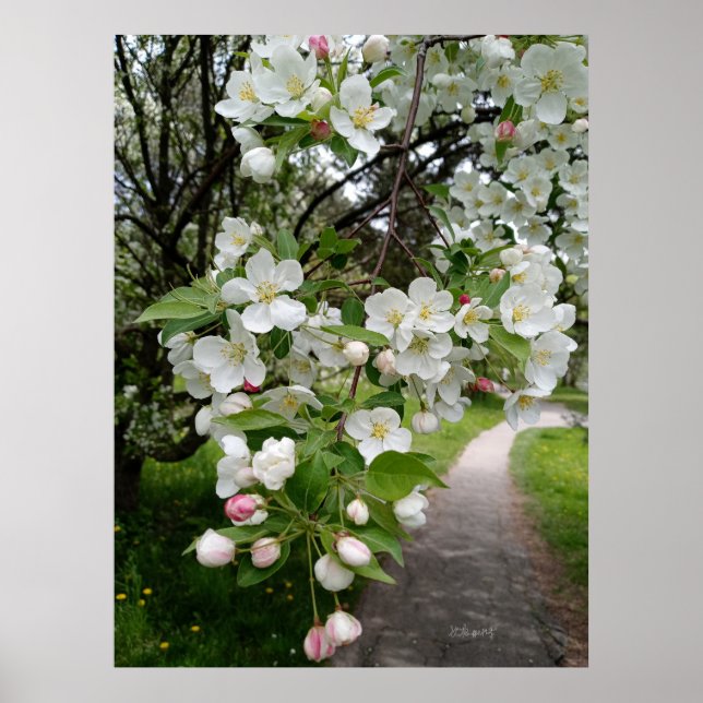 On the Boughs of Blossoms Poster (Front)