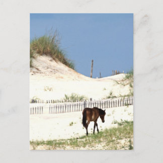 "On the Edge" Postcard